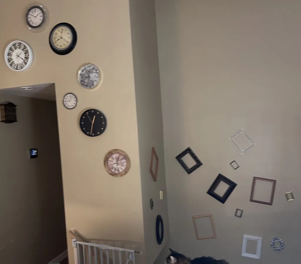 A wall featuring various wall clocks and picture frames in different shapes and colors, with a pet dog sitting nearby.